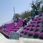 IMGP4898